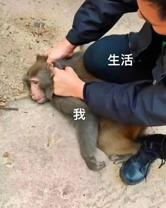 ȷ